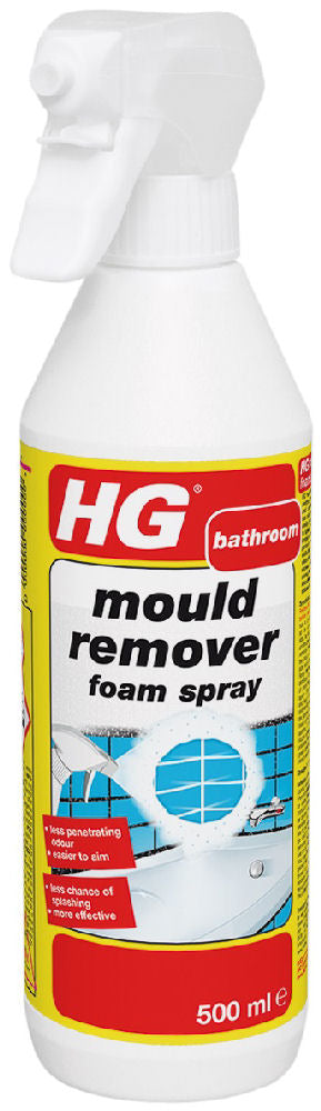 HG Mould remover foam spray- 63205010106